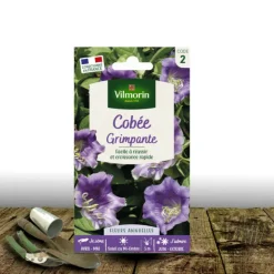PLANTES AVENUE - Graines de cobée grimpante bleue - vilmorin/[-]sachet