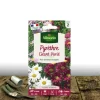 PLANTES AVENUE - Graines de pyrèthre géant varié - vilmorin/[-]sachet
