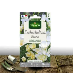 PLANTES AVENUE - Graines d'eschscholtzia blanc - vilmorin/[-]sachet