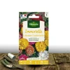PLANTES AVENUE - Graines d'immortelle à bractées double variée - vilmorin/[-]sachet