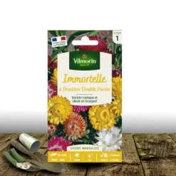 PLANTES AVENUE - Graines d'immortelle à bractées double variée - vilmorin/[-]sachet