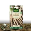 PLANTES AVENUE - Graines de salsifis mammouth - vilmorin/[-]sachet