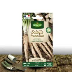 PLANTES AVENUE - Graines de salsifis mammouth - vilmorin/[-]sachet