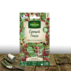 PLANTES AVENUE - Graines d'épinard fraise - sans traitement - vilmorin/[-]sachet