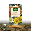 PLANTES AVENUE - Graines de gazania splendens varié - vilmorin/[-]sachet