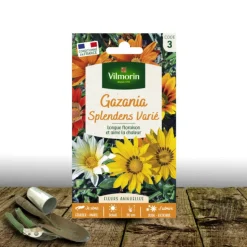PLANTES AVENUE - Graines de gazania splendens varié - vilmorin/[-]sachet