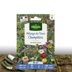PLANTES AVENUE - Graines en mélange de fleurs - bouquets champêtres/[-]sachet - 4 m²