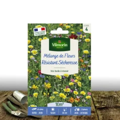 PLANTES AVENUE - Graines en mélange de fleurs - fleurs résistantes à la sécheresse/[-]sachet - 10 m²