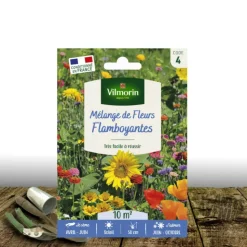 PLANTES AVENUE - Graines en mélange de fleurs - fleurs flamboyant/[-]sachet - 10 m²