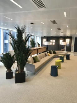 PLANTESTABILISÉE.COM - Palmier base phoenix naturel stabilisé - palmier stabilisé - palmier d'intérieur - 100 cm