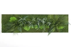 PLANTESTABILISÉE.COM - Tableau végétal stabilisé teien - tableau stabilisé - décoration d'intérieur - 140*40 cm