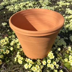 Pot d'ornementation agrume