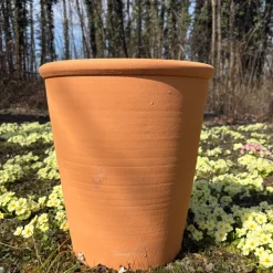 Pot d'ornementation tilia