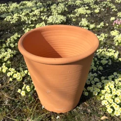 Pot d'ornementation tilia