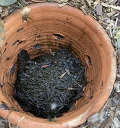 POTERIE JAMET - Lombricomposteur à enterrer - 9 l