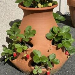 POTERIE LUTTON - Tour à fraisier
