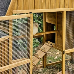 Poulailler 6 poules bois de sapin - 195.5 x 90 x 152.5 cm - gasconne