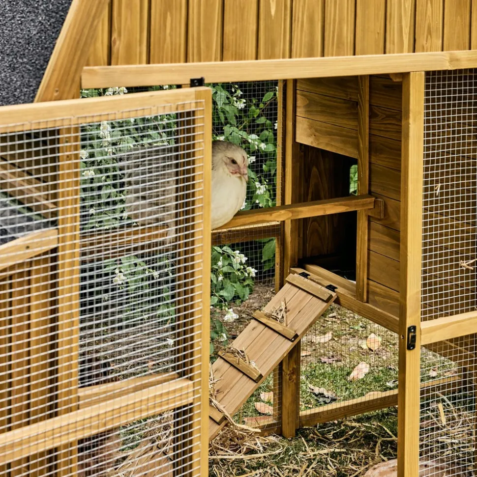 Poulailler 6 poules bois de sapin - 195.5 x 90 x 152.5 cm - gasconne