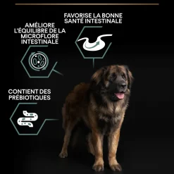 PROPLAN - Croquettes chien adulte à l'agneau digestion difficile - 14 kg