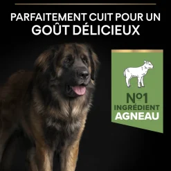 PROPLAN - Croquettes chien adulte à l'agneau digestion difficile - 14 kg
