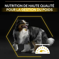PROPLAN - Croquettes Light pour chien stérilisé - 14 kg + 2,5 kg offerts.
