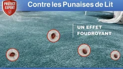 PROTECT EXPERT - Anti punaises de lit foudroyant - aérosol anti punaises de lit - diffusion automatique - action choc