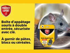 PROTECT EXPERT - Boitsou - boite appât souris - sécurisée avec clé de fermeture