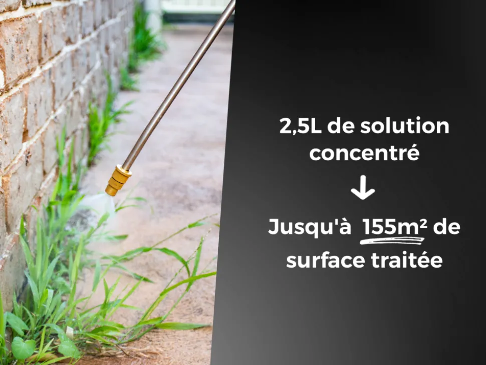 PROTECT EXPERT - Protect expert désherbant concentré - cours allées terrasses - effets visibles sous 3h - 2,5l - jusqu鈥² traités procour25n