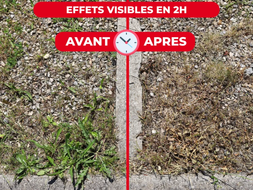 PROTECT EXPERT - Protect expert désherbant concentré - cours allées terrasses - effets visibles sous 3h - 2,5l - jusqu鈥² traités procour25n