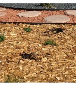 RACINE - Paillage biodégradable plaquettes forestières bois 48 sacs de 50l pour 48m2