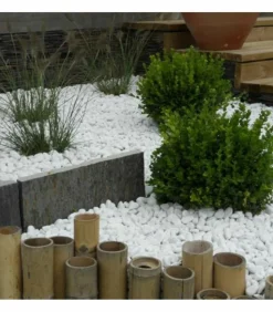 RACINE - Paillage minéral galet marbre blanc carrare 40-60mm, big bag 500 kg - f-pai010