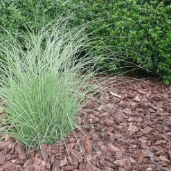 RACINE - Paillage végétal biodégradable en écorces de pin maritime 42 sacs 50 l pour 50m2