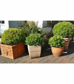 RACINE - Substrat jardinières et bacs, sac 50 l - pro11