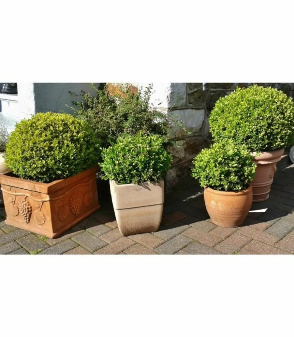 RACINE - Substrat jardinières et bacs, sac 50 l - pro11