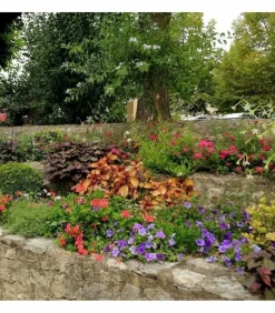 RACINE - Terreau engrais fleurissement 48 sacs 50 l plantes vivaces et annuelles