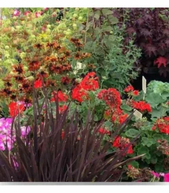 RACINE - Terreau engrais fleurissement, sac de 50 l, plantes vivaces et annuelles - pro413