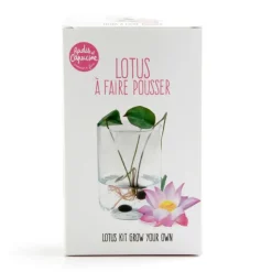 RADIS ET CAPUCINE - Coffret de culture du lotus