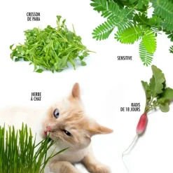 RADIS ET CAPUCINE - Coffret 52 sachets de graines