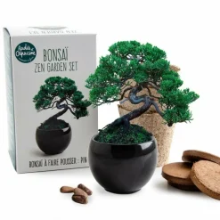 RADIS ET CAPUCINE - Kit de culture bonsaï avec pot