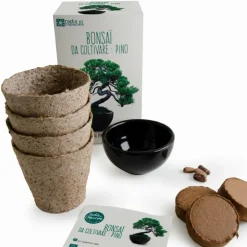 RADIS ET CAPUCINE - Kit de culture bonsaï avec pot