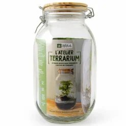 RADIS ET CAPUCINE - Terrarium à assembler soi-même avec graines d'asparagus à semer