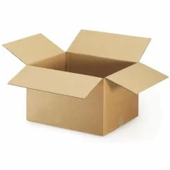 RAJA - 5 cartons d'emballage 20 x 15 x 9 cm - simple cannelure