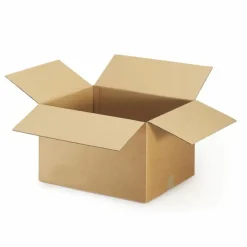 RAJA - 20 cartons d'emballage 16 x 12 x 11 cm - double cannelure