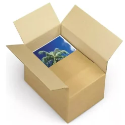 RAJA - Carton d'emballage 25 x 25 x 19 cm - simple cannelure