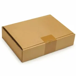 RAJA - Carton d'emballage plat 46 x 36 x 5 cm - simple cannelure