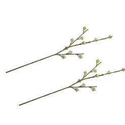 RAYHER - 2 branches de fruits d'eucalyptus