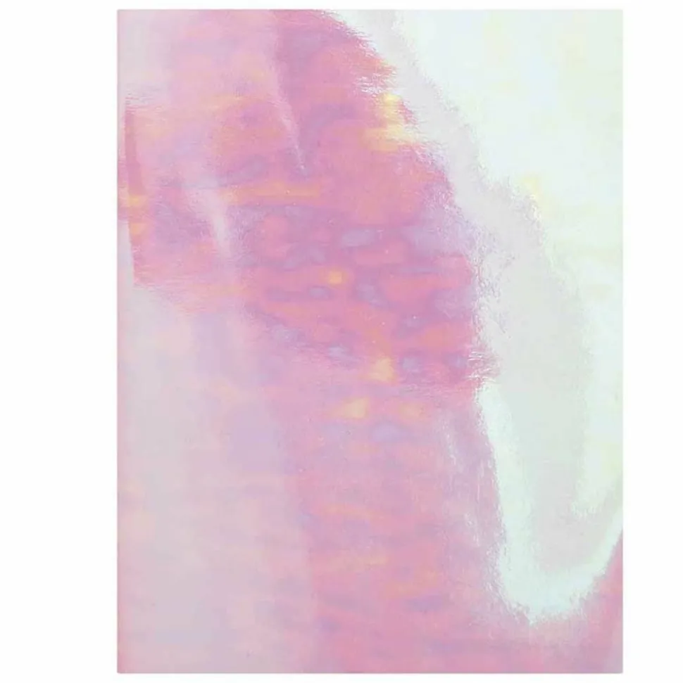 RICO DESIGN - Bullet journal couverture souple acid leo - 16 x 21 cm