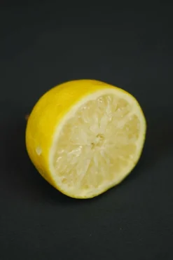 ROUÉ PÉPINIÈRES - Citronnier des 4 saisons - en pot de 5 litres