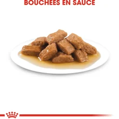 ROYAL CANIN - Bouchées en sauce Medium Ageing 10+ pour chien 10X140g