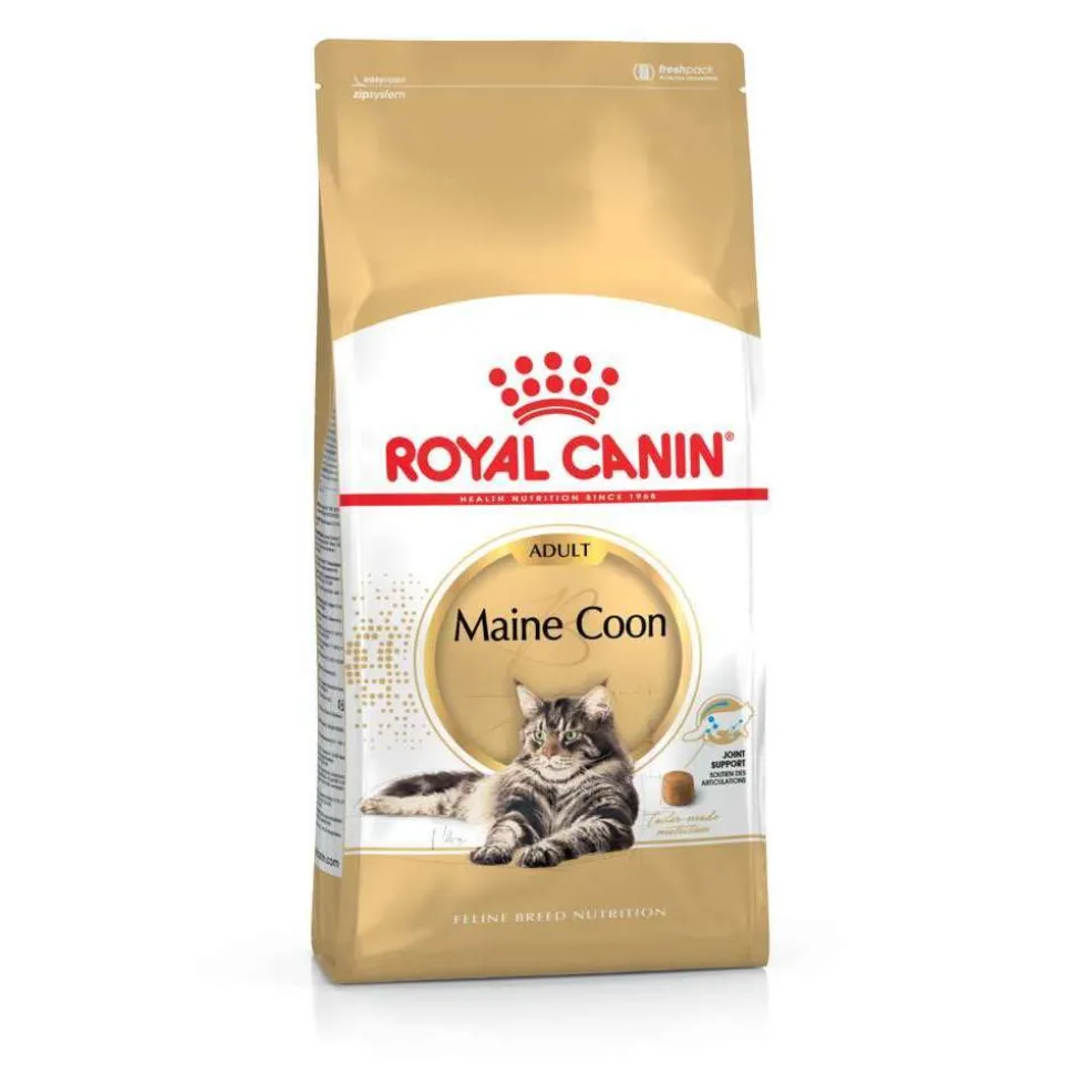 ROYAL CANIN - Croquettes chat Maine Coon Adulte à partir de 15 mois 4kg
